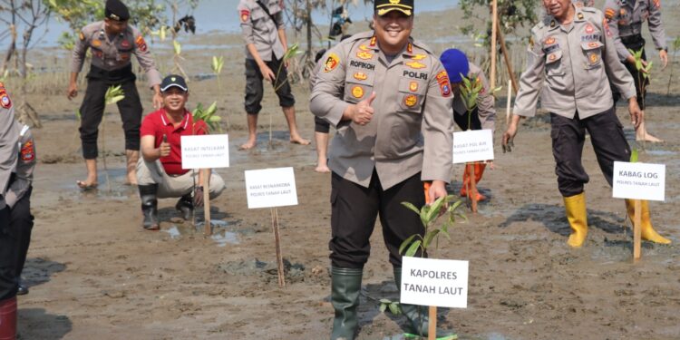 Penghijauan Polres Tanah Laut, Tanam Mangrove dalam Rangka Hari Ulang Tahun Ke-72 Humas Polri Tahun 2023.