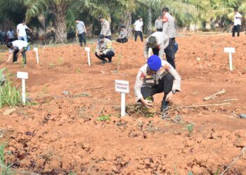 Polres Tanah Laut Gelar Penanaman Bibit Pohon Di Tanah Milik Polri