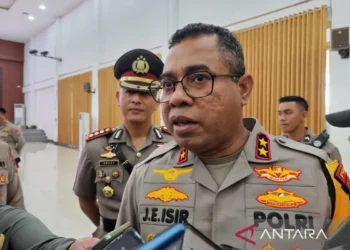 Polda Papua Barat bentuk tim khusus penertiban tambang ilegal