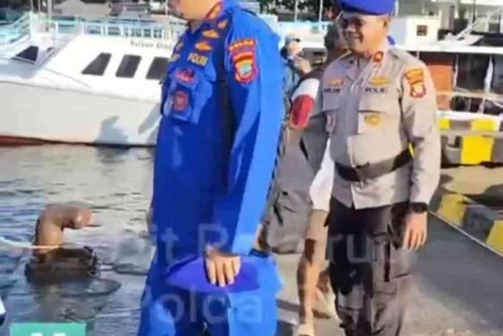 Blogger Polri : Dir Polairud Polda Sulut Pimpin Lansung Patroli Pencarian Satwa Liar