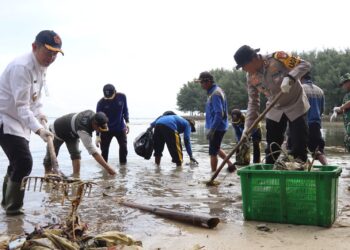 Polda Metro Jaya Bersama Kodam Jaya-Pemprov DKI Kerja Bakti dan Tanam Mangrove di Pulau Tidung