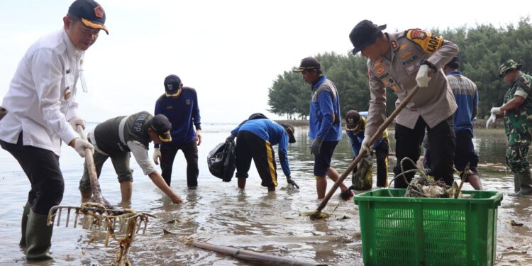 Polda Metro Jaya Bersama Kodam Jaya-Pemprov DKI Kerja Bakti dan Tanam Mangrove di Pulau Tidung